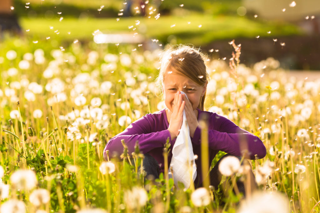 Understanding your new allergies