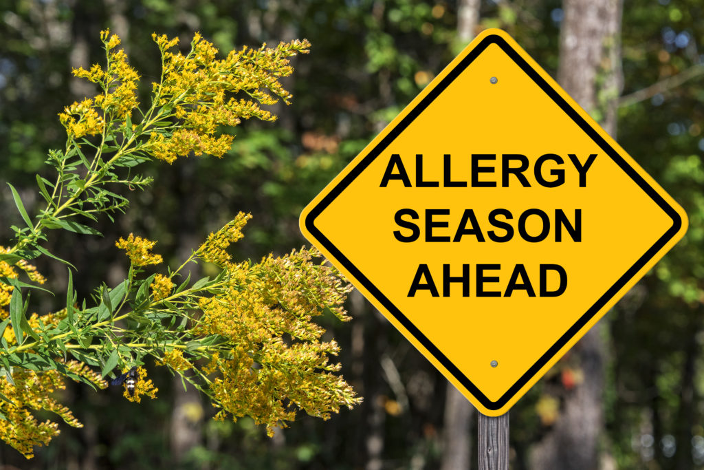 Spring Texas Allergies Allergy Season Ahead Sign