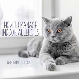 how to manage indoor allergies
