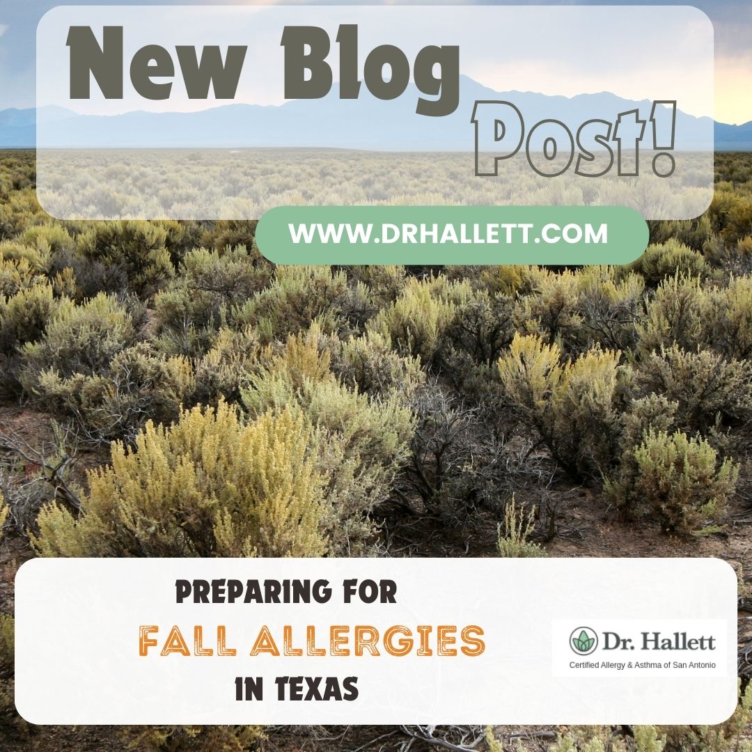 Fall Allergies Checklist: Preparing for Fall Allergies in Texas