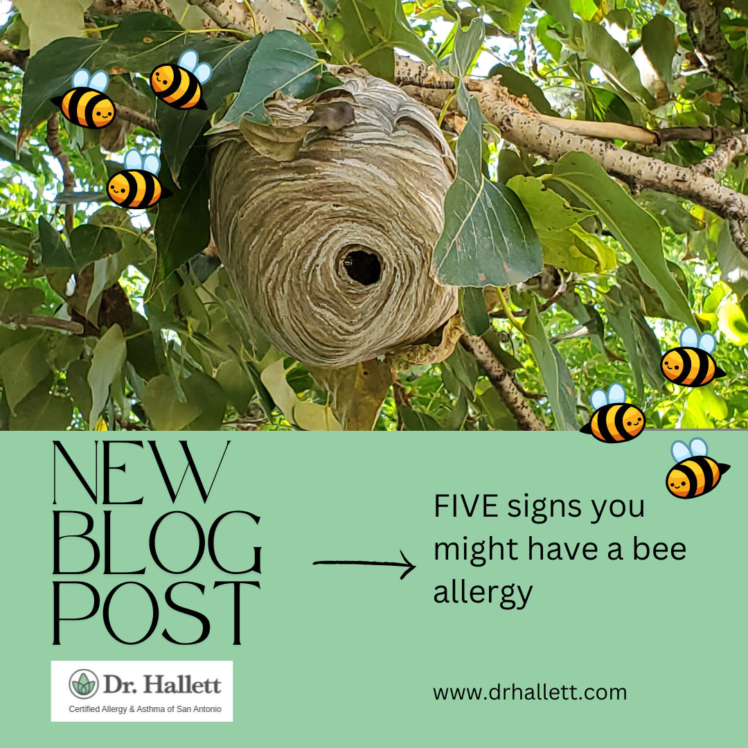Signs You Might Have a Bee Allergy